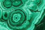 Flowery Polished Malachite Slab - DR Congo #350829-1